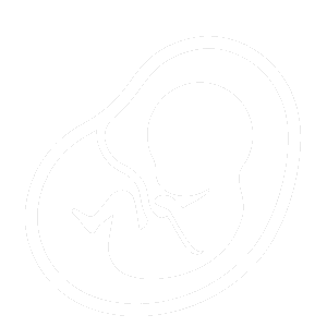 prenatal visits icon of baby in womb